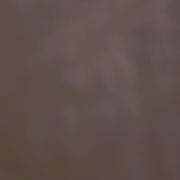 Meet your Posher, Sonia - Picture 1 of 1